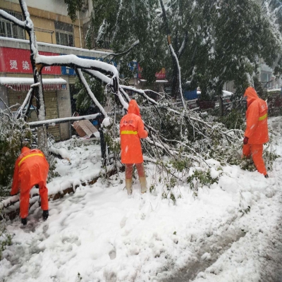 新站區(qū)道路清掃保潔、綠化管養(yǎng)項(xiàng)目